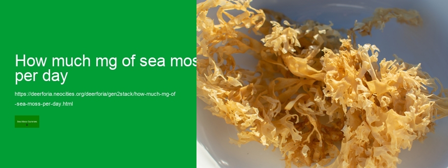 sea moss and bladderwrack side effects